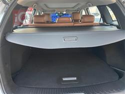 رينو كوليوس